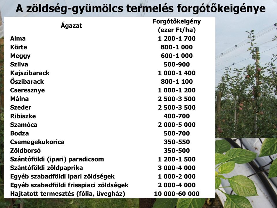 Bodza 500-700 Csemegekukorica 350-550 Zöldborsó 350-500 Szántóföldi (ipari) paradicsom 1 200-1 500 Szántóföldi zöldpaprika 3 000-4 000 Egyéb