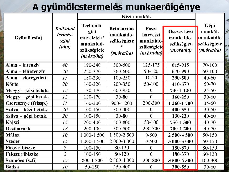 óra/ha) Alma intenzív 40 190-240 300-500 125-175 615-915 70-100 Alma félintenzív 40 220-270 360-600 90-120 670-990 60-100 Alma elöregedett 15 180-230 100-250 10-20 290-500 40-60 Körte 20 160-220