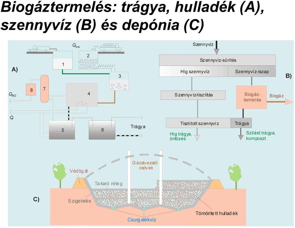 Biogáztermelés Biogá z Q 5 6 Trágy a Tisztitott sz ennyví z Híg trágya, öntözés Trá gya Szilárd