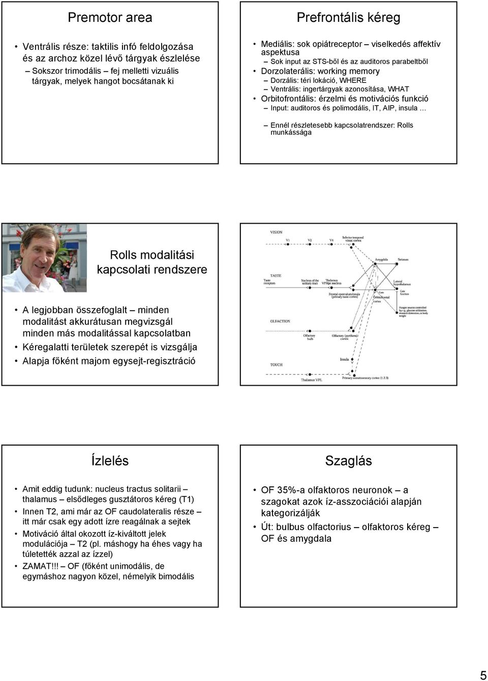 azonosítása, WHAT Orbitofrontális: érzelmi és motivációs funkció Input: auditoros és polimodális, IT, AIP, insula Ennél részletesebb kapcsolatrendszer: Rolls munkássága Rolls modalitási kapcsolati