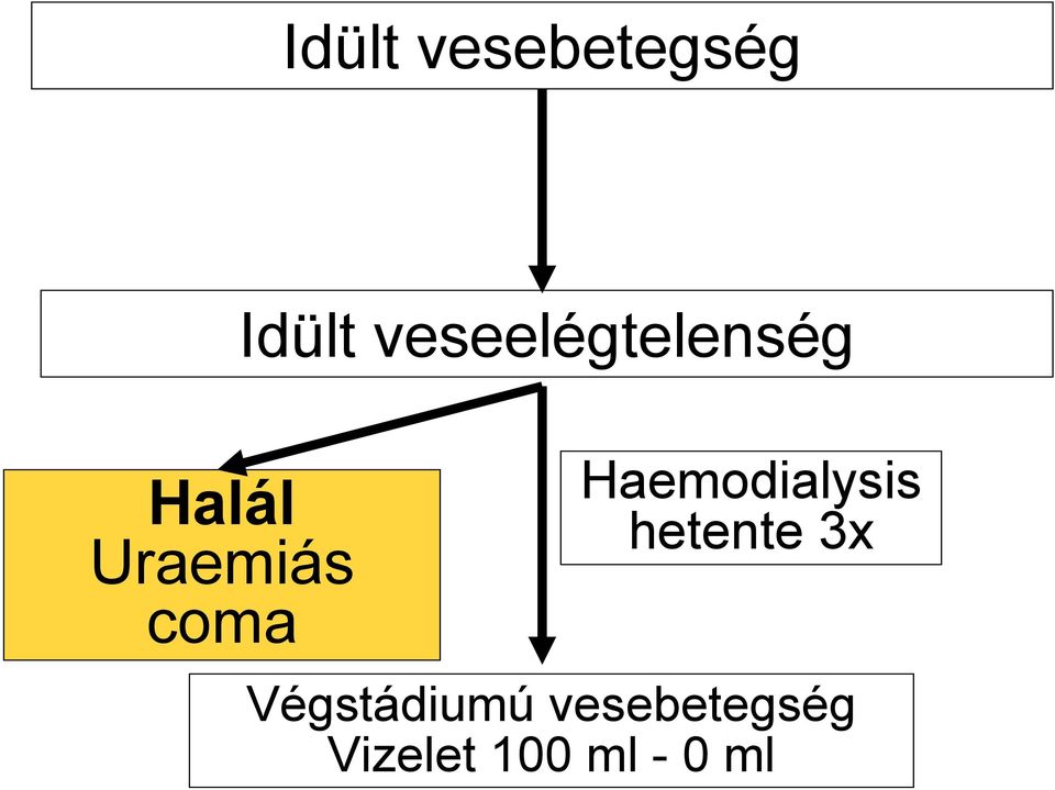 coma Haemodialysis hetente 3x