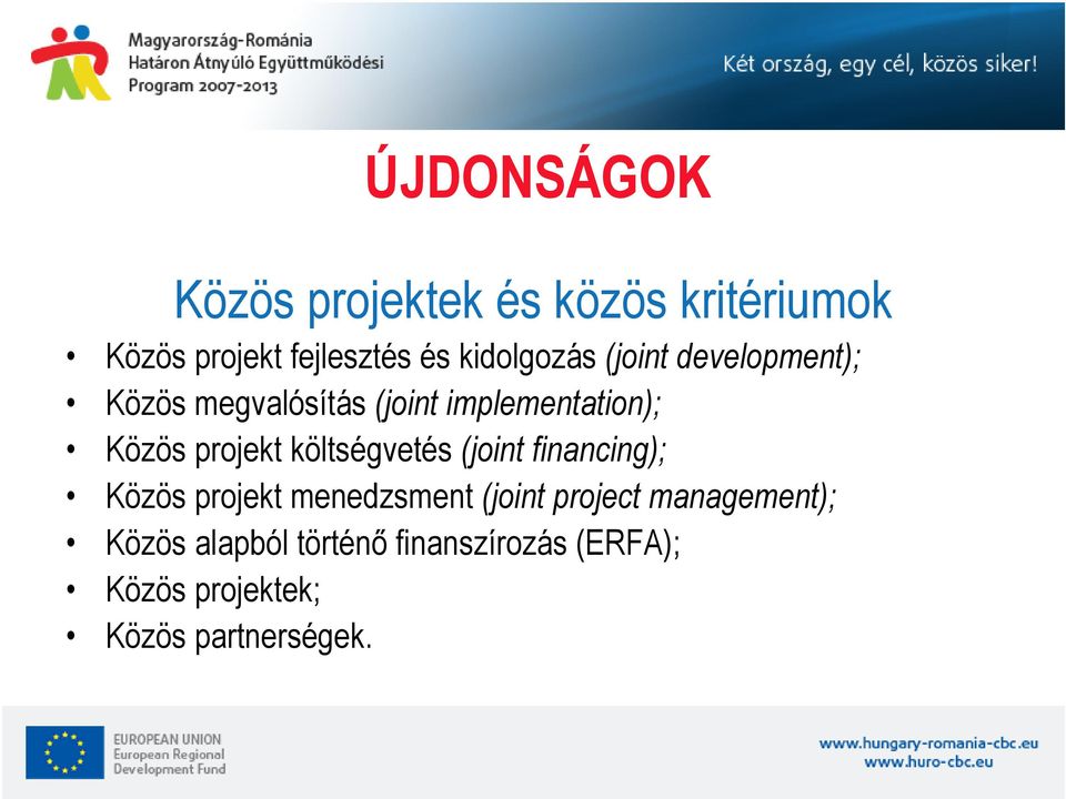 projekt költségvetés (joint financing); Közös projekt menedzsment (joint project