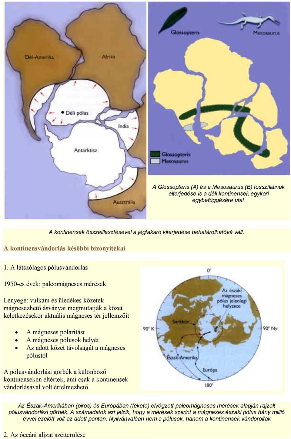 A látszólagos pólusvándorlás 1950-es évek: paleomágneses mérések Lényege: vulkáni és üledékes kőzetek mágnesezhető ásványai megmutatják a kőzet keletkezésekor aktuális mágneses tér jellemzőit: A