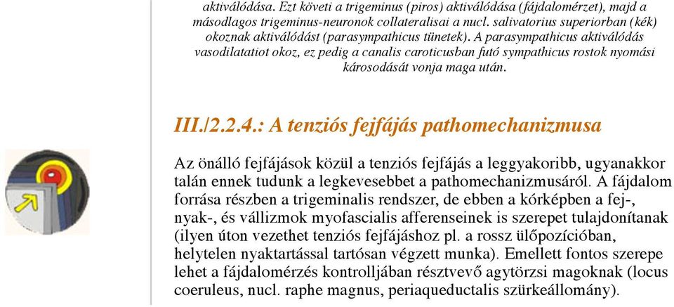 A parasympathicus aktiválódás vasodilatatiot okoz, ez pedig a canalis caroticusban futó sympathicus rostok nyomási károsodását vonja maga után. III./2.2.4.