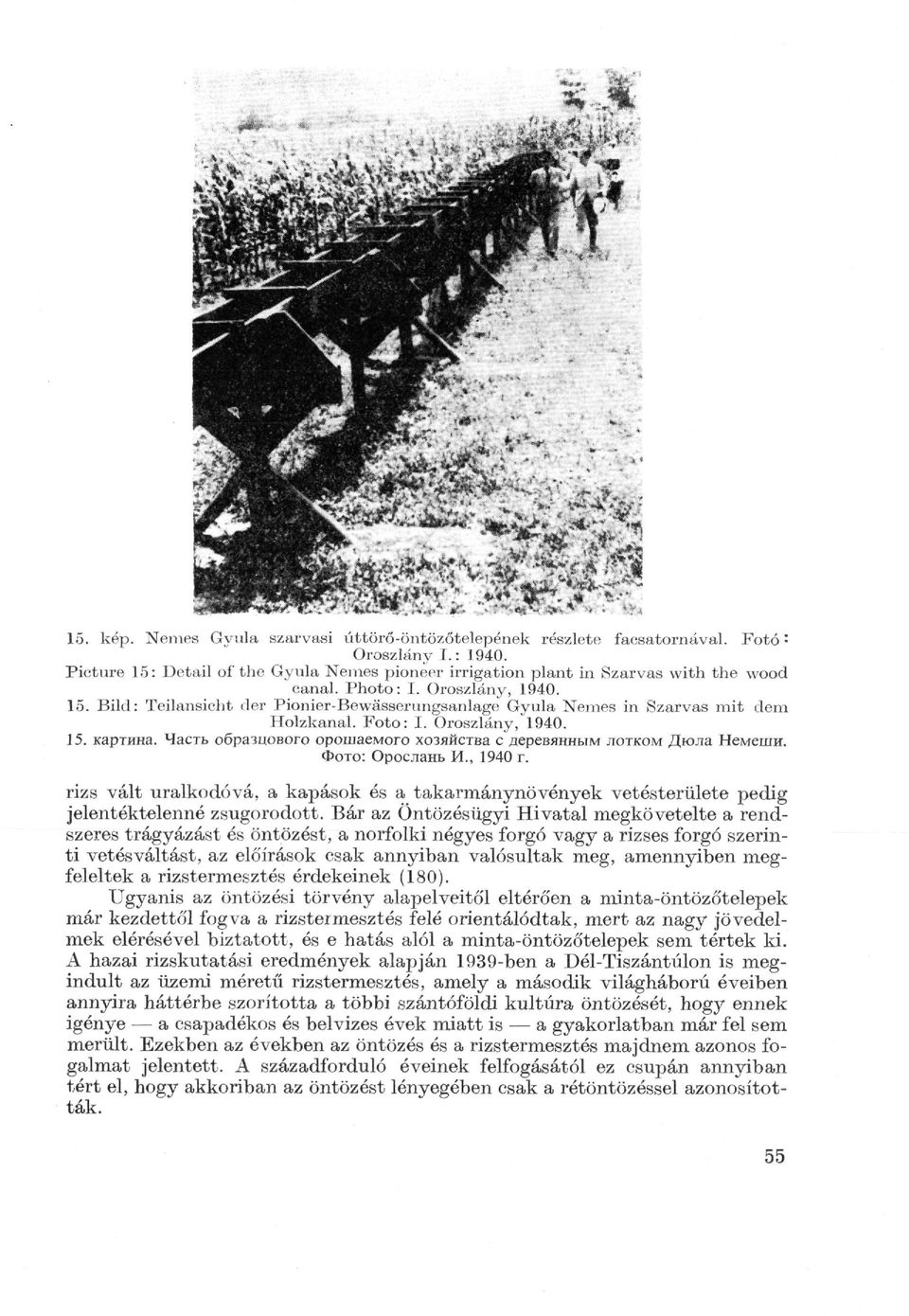 Foto: I. Oroszlány, 1940. 15. картина. Часть образцового орошаемого хозяйства с деревянным лотком Дюла Немеши. Фото: Орослань И., 1940 г.