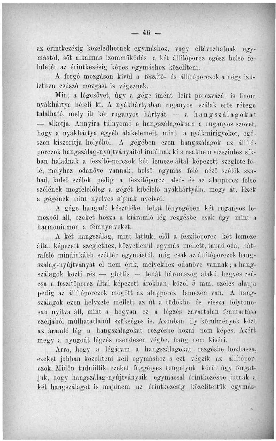 nyákhártyában ruganyos szálak erős rétege található, mely itt két ruganyos hártyát a hangszalagokat alkotja.