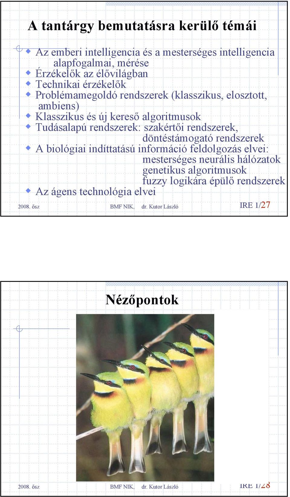 Tudásalapú rendszerek: szakértői rendszerek, döntéstámogató rendszerek A biológiai indíttatású információ feldolgozás elvei:
