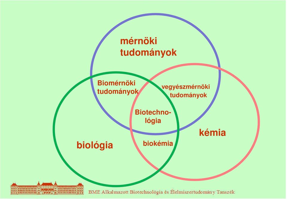 Biotechnológia biokémia