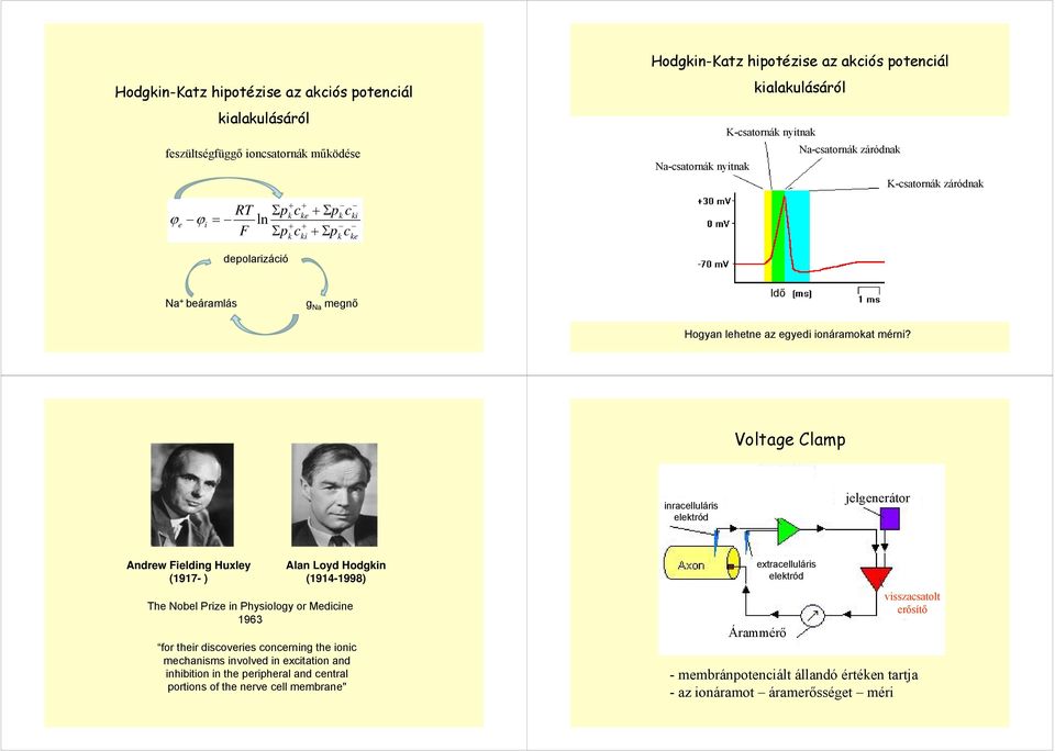 Voltage Clamp inracelluláris elektród jelgenerátor Andrew Fielding Huxley (1917- ) Alan Loyd Hodgkin (1914-1998) The Nobel Prize in Physiology or Medicine 1963 for their discoveries concerning the