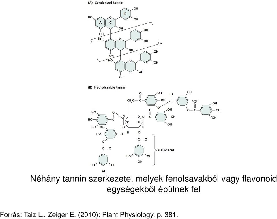 egységekből épülnek fel Forrás: Taiz
