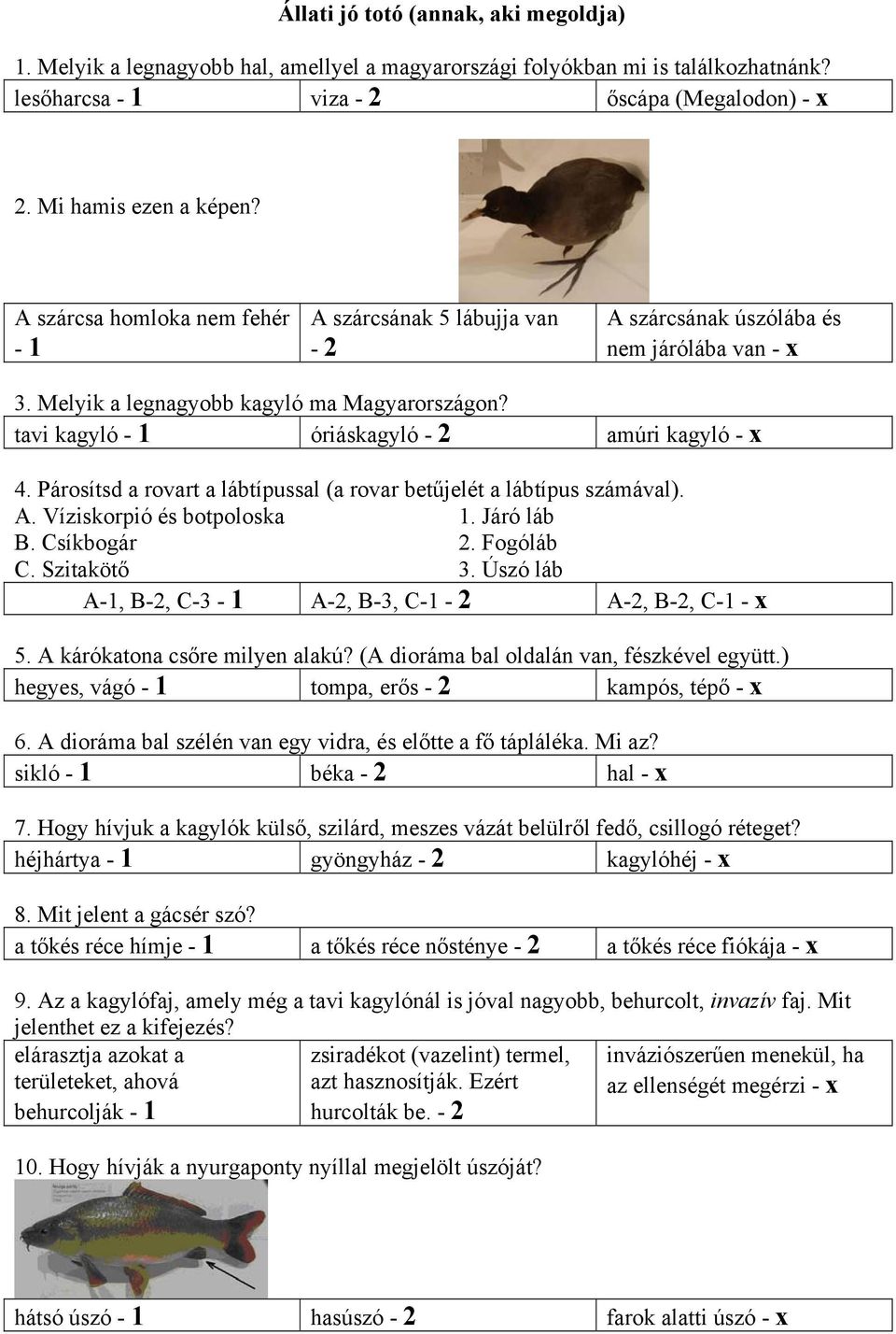 tavi kagyló - 1 óriáskagyló - 2 amúri kagyló - x 4. Párosítsd a rovart a lábtípussal (a rovar betűjelét a lábtípus számával). A. Víziskorpió és botpoloska B. Csíkbogár C. Szitakötő 1. Járó láb 2.