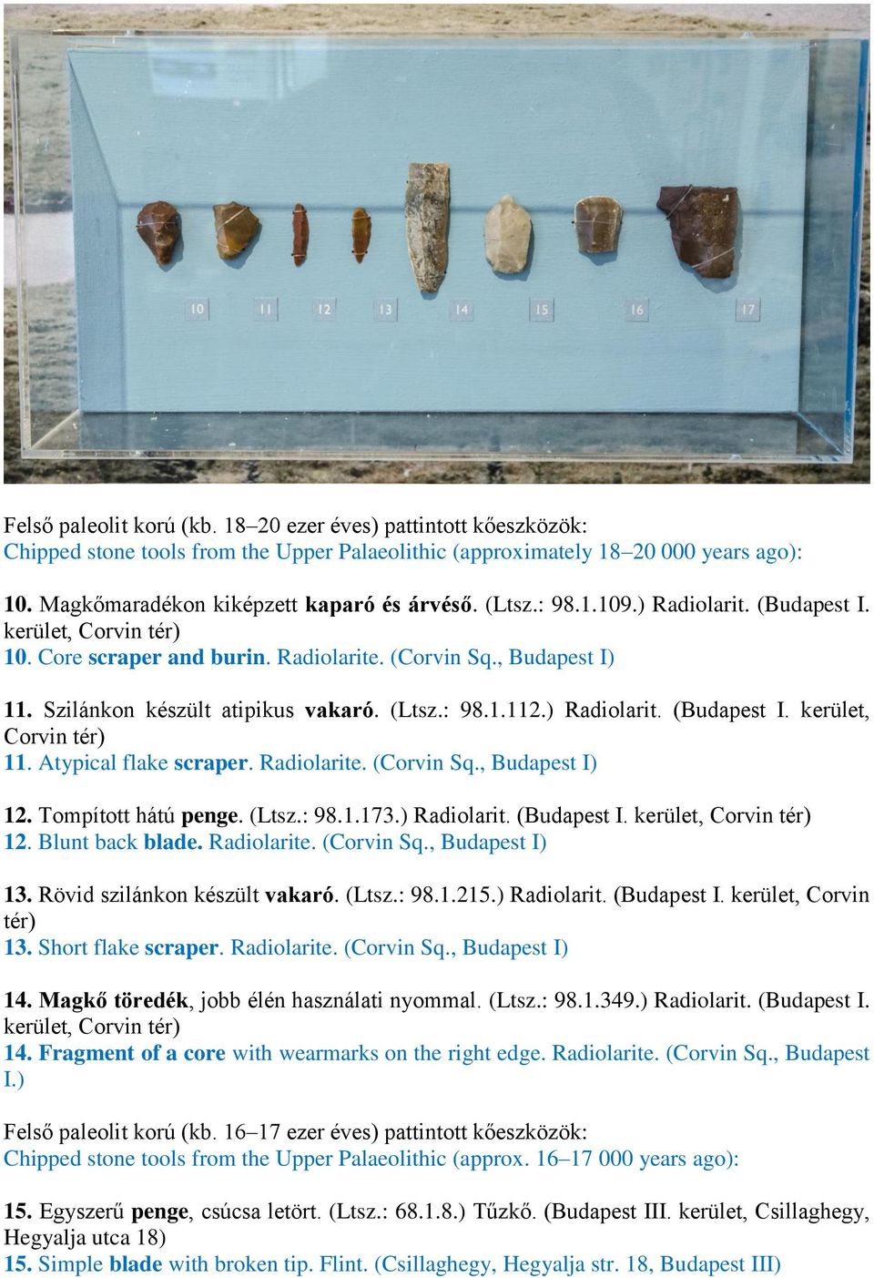 Atypical flake scraper. Radiolarite. (Corvin Sq., Budapest I) 12. Tompított hátú penge. (Ltsz.: 98.1.173.) Radiolarit. (Budapest I. kerület, Corvin tér) 12. Blunt back blade. Radiolarite. (Corvin Sq., Budapest I) 13.