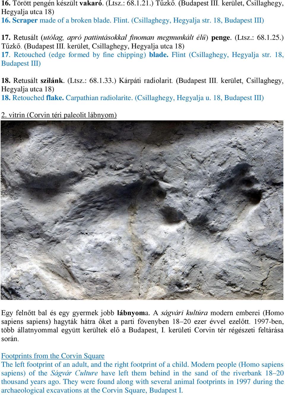 Retouched (edge formed by fine chipping) blade. Flint (Csillaghegy, Hegyalja str. 18, Budapest III) 18. Retusált szilánk. (Ltsz.: 68.1.33.) Kárpáti radiolarit. (Budapest III.