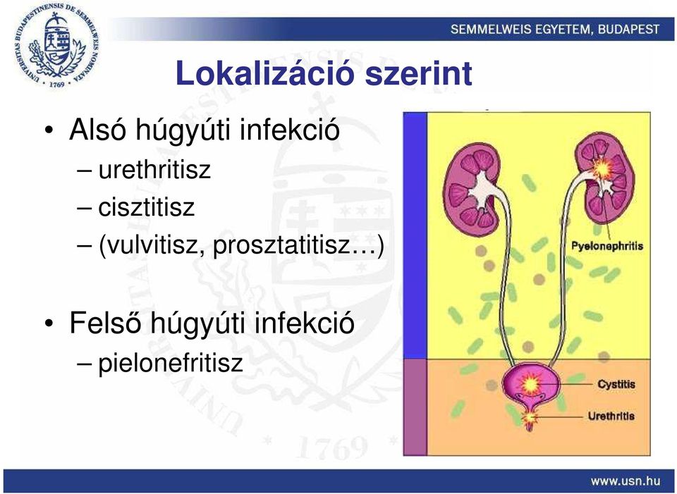 (vulvitisz, prosztatitisz )