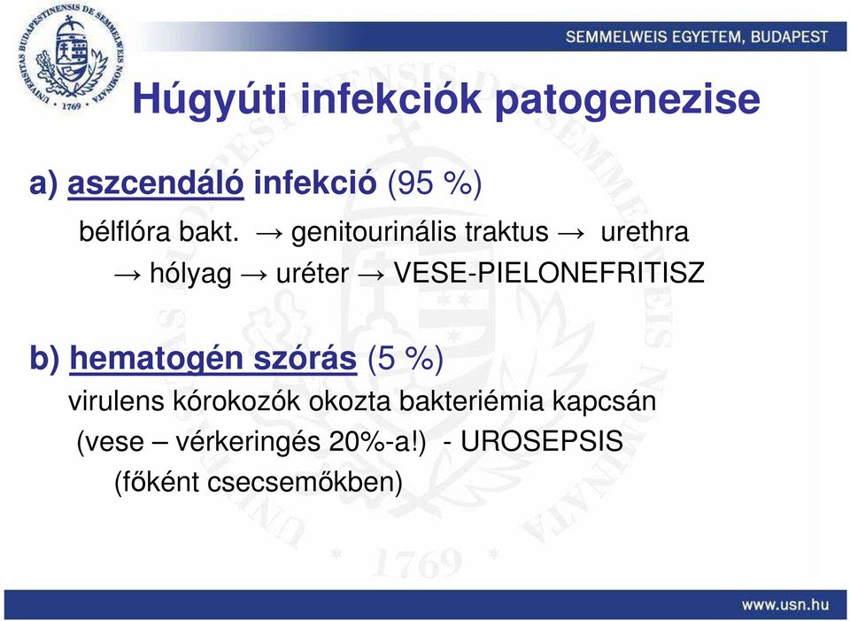 genitourinális traktus urethra hólyag uréter VESE-PIELONEFRITISZ b)