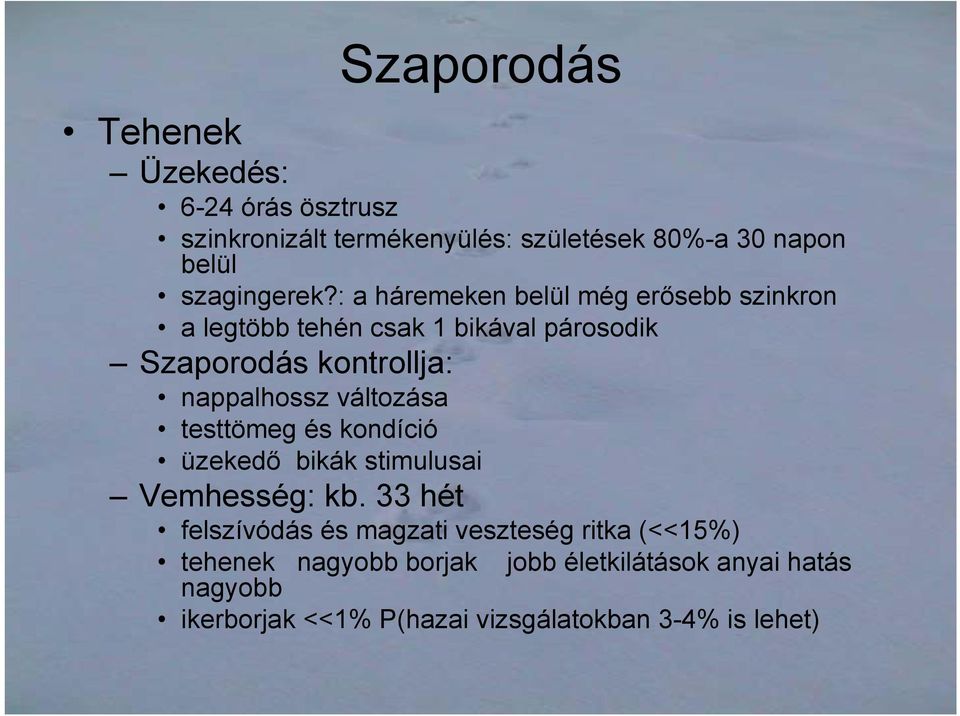 : a háremeken belül még erősebb szinkron a legtöbb tehén csak 1 bikával párosodik Szaporodás kontrollja: nappalhossz