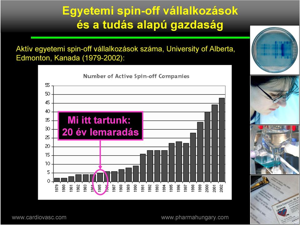 vállalkozások száma, University of Alberta,