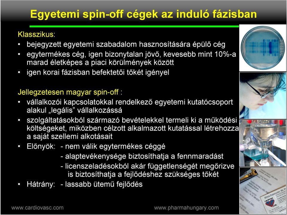 vállalkozássá szolgáltatásokból származó bevételekkel termeli ki a m?
