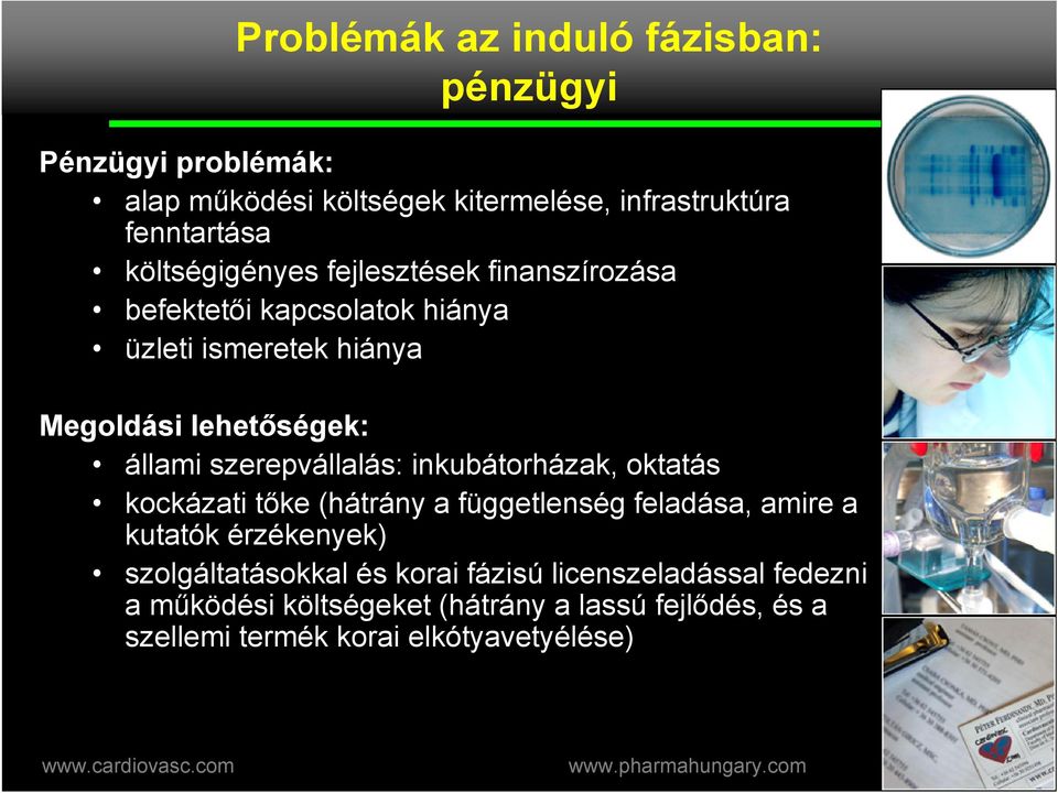üzleti ismeretek hiánya Megoldási lehet&ségek: állami szerepvállalás: inkubátorházak, oktatás kockázati tke (hátrány a