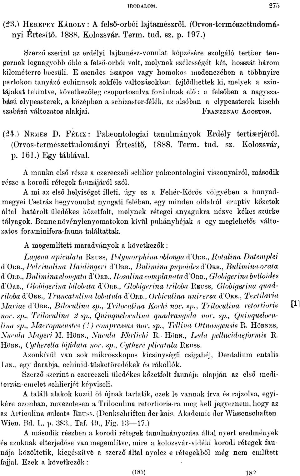 E csendes iszapos vagy homokos medenczében a többnyire partokon tanyázó ecliinusok sokféle változásokban fejlődhettek ki, melyek a szintájakat tekintve, következőleg csoportosulva fordulnak elő : a