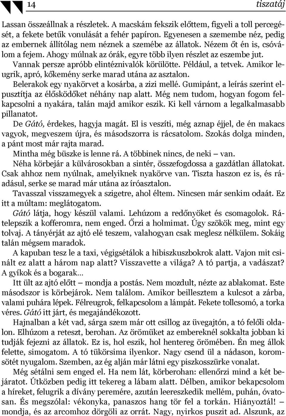 Vannak persze apróbb elintéznivalók körülötte. Például, a tetvek. Amikor leugrik, apró, kőkemény serke marad utána az asztalon. Belerakok egy nyakörvet a kosárba, a zizi mellé.