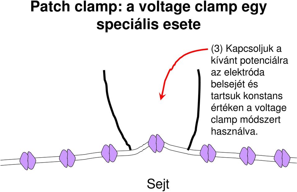 az elektróda belsejét és tartsuk konstans