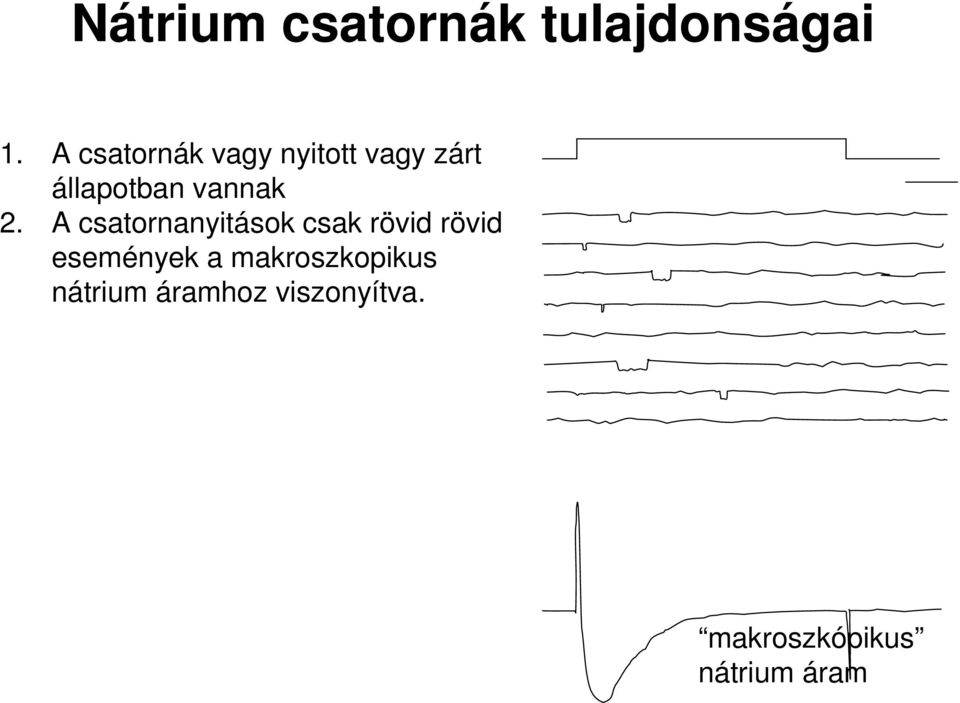 2. A csatornanyitások csak rövid rövid események a