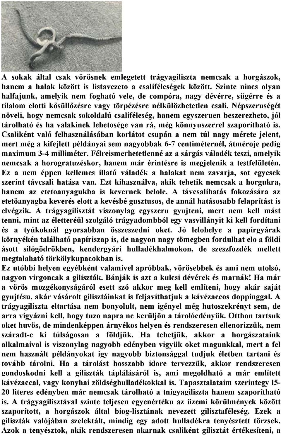 Népszeruségét növeli, hogy nemcsak sokoldalú csaliféleség, hanem egyszeruen beszerezheto, jól tárolható és ha valakinek lehetosége van rá, még könnyuszerrel szaporítható is.