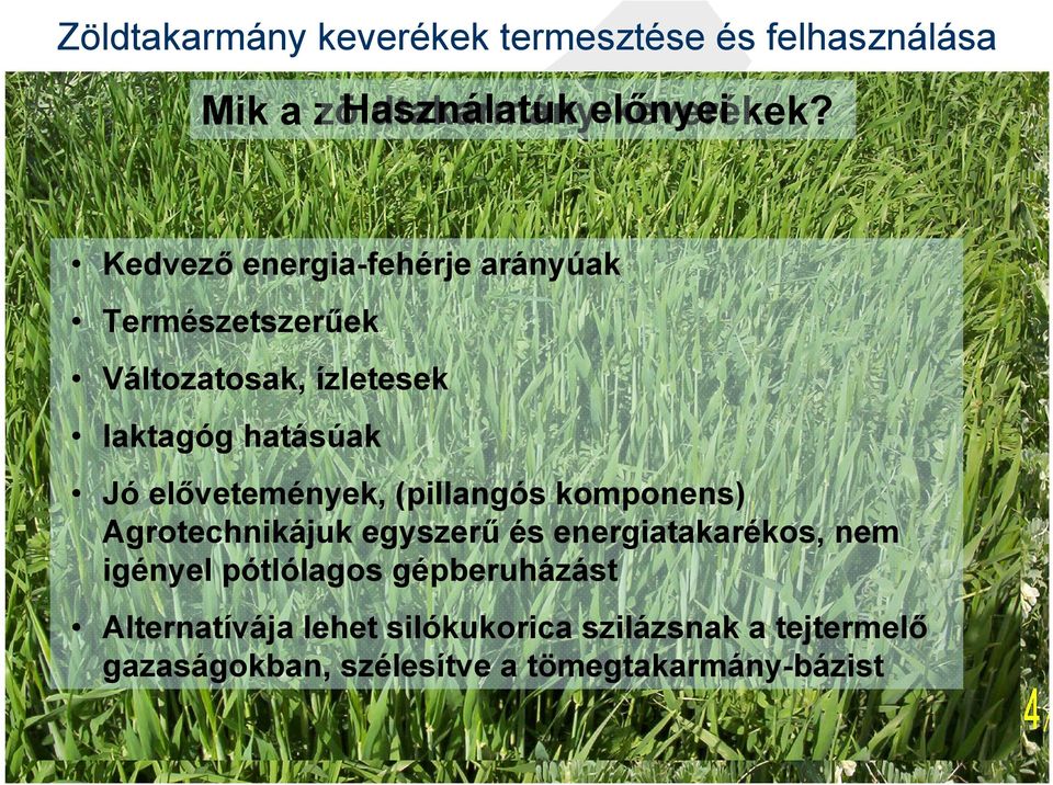 elővetemények, (pillangós komponens) Agrotechnikájuk egyszerű és energiatakarékos, nem igényel pótlólagos