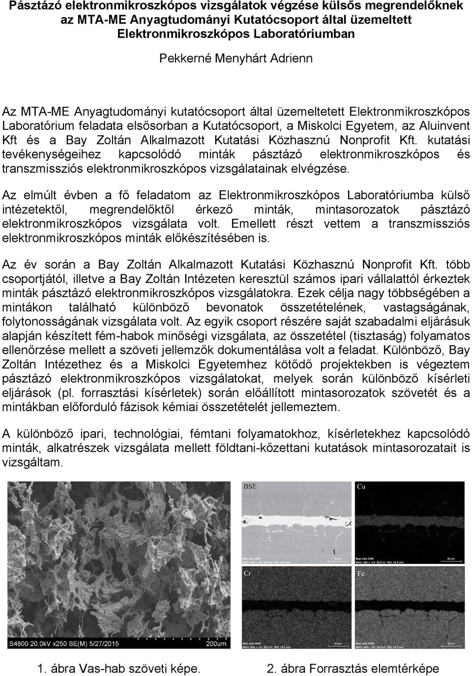 Közhasznú Nonprofit Kft. kutatási tevékenységeihez kapcsolódó minták pásztázó elektronmikroszkópos és transzmissziós elektronmikroszkópos vizsgálatainak elvégzése.