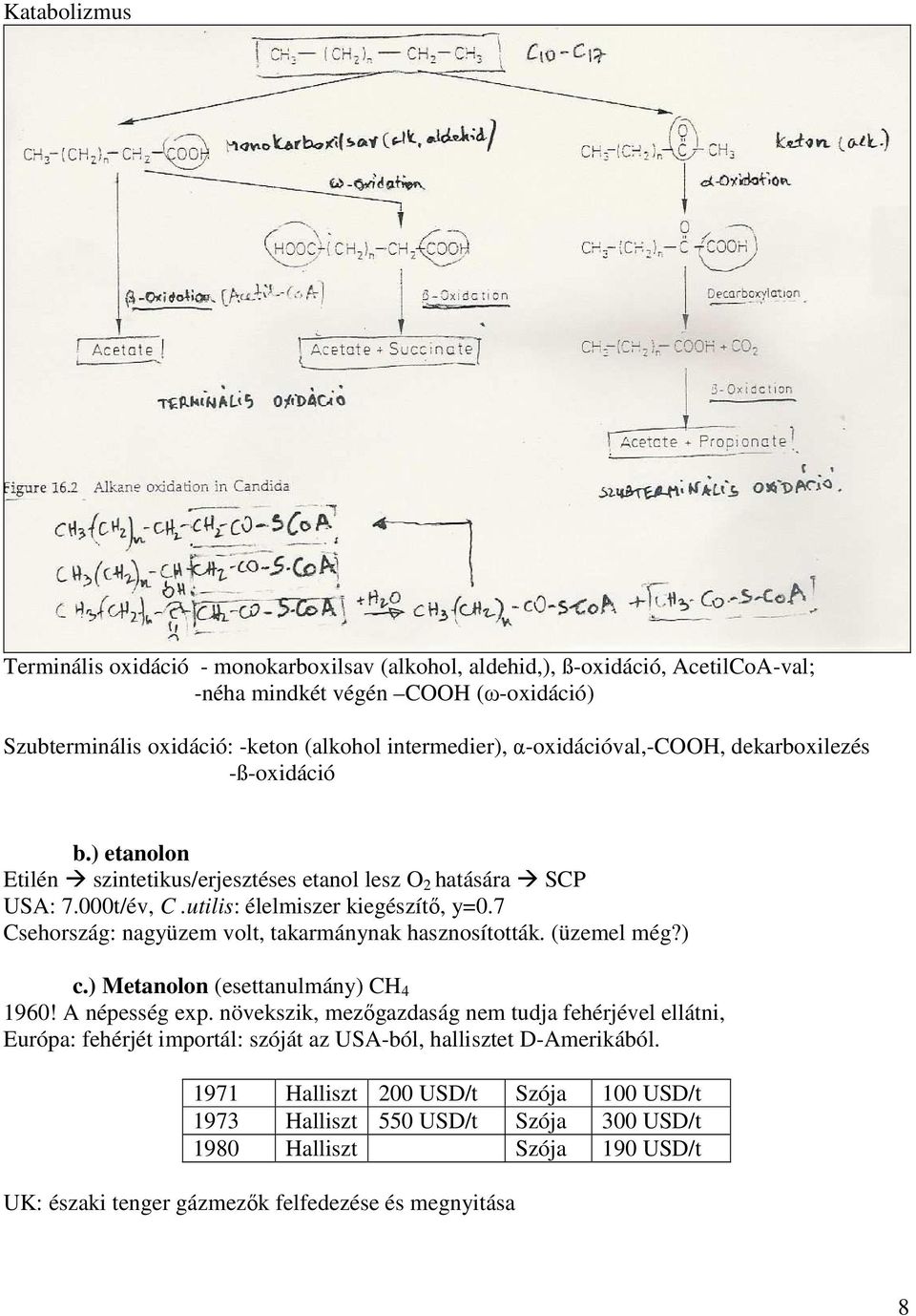 7 Csehország: nagyüzem volt, takarmánynak hasznosították. (üzemel még?) c.) Metanolon (esettanulmány) CH 4 1960! A népesség exp.