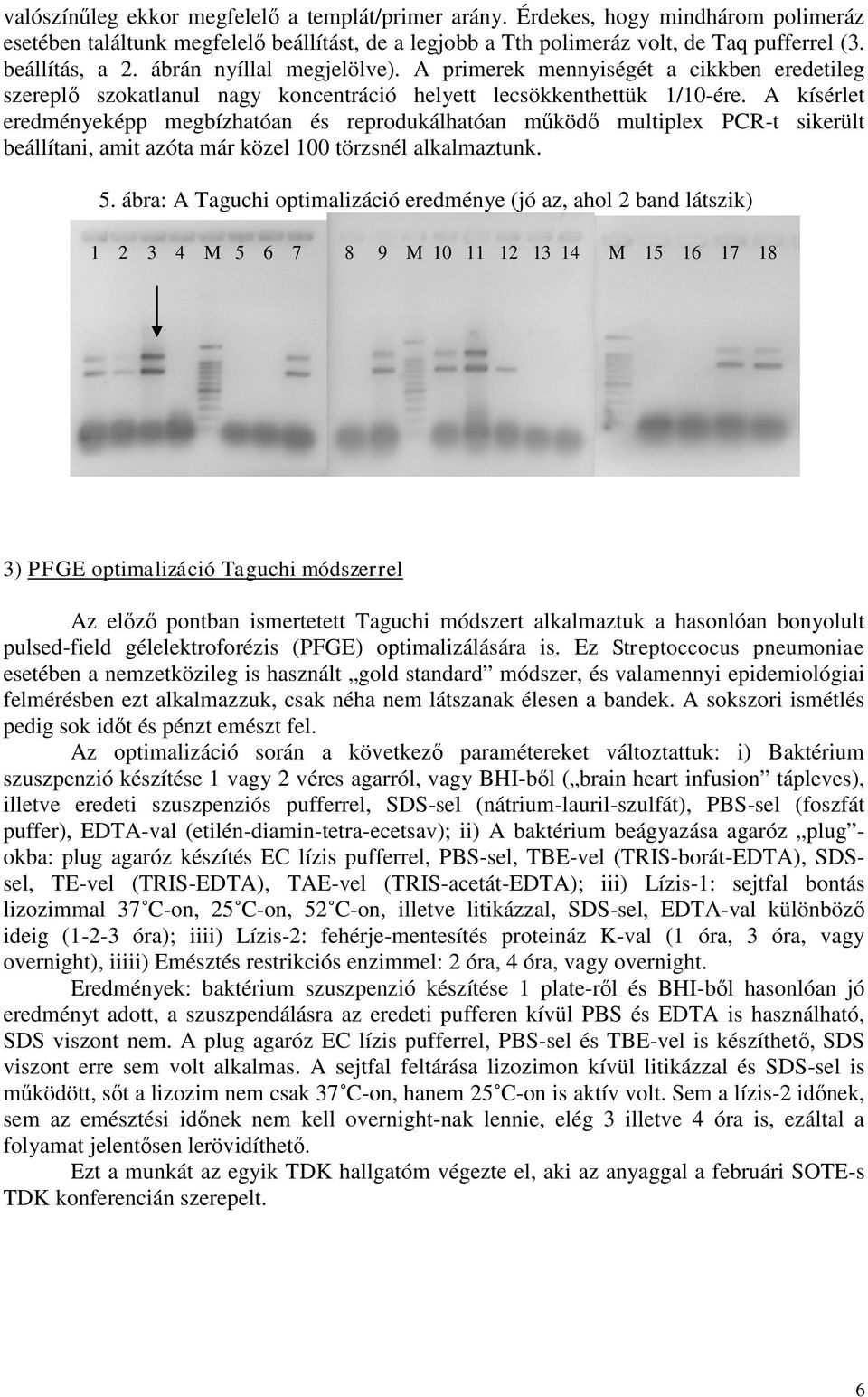 A kísérlet eredményeképp megbízhatóan és reprodukálhatóan működő multiplex PCR-t sikerült beállítani, amit azóta már közel 100 törzsnél alkalmaztunk. 5.