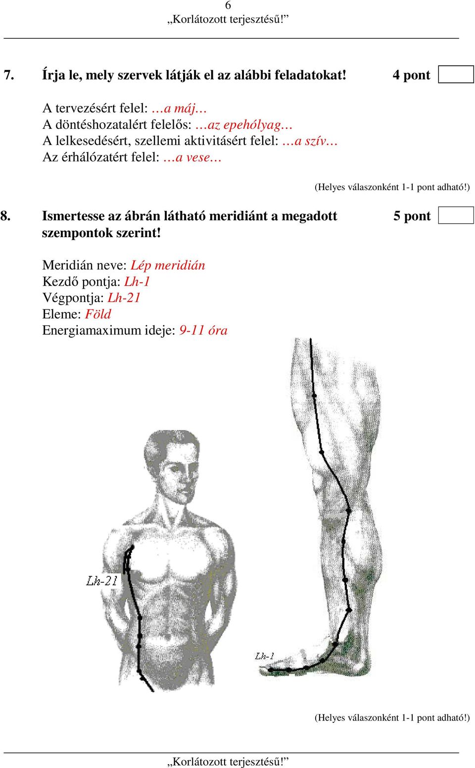 aktivitásért felel: a szív Az érhálózatért felel: a vese 8.