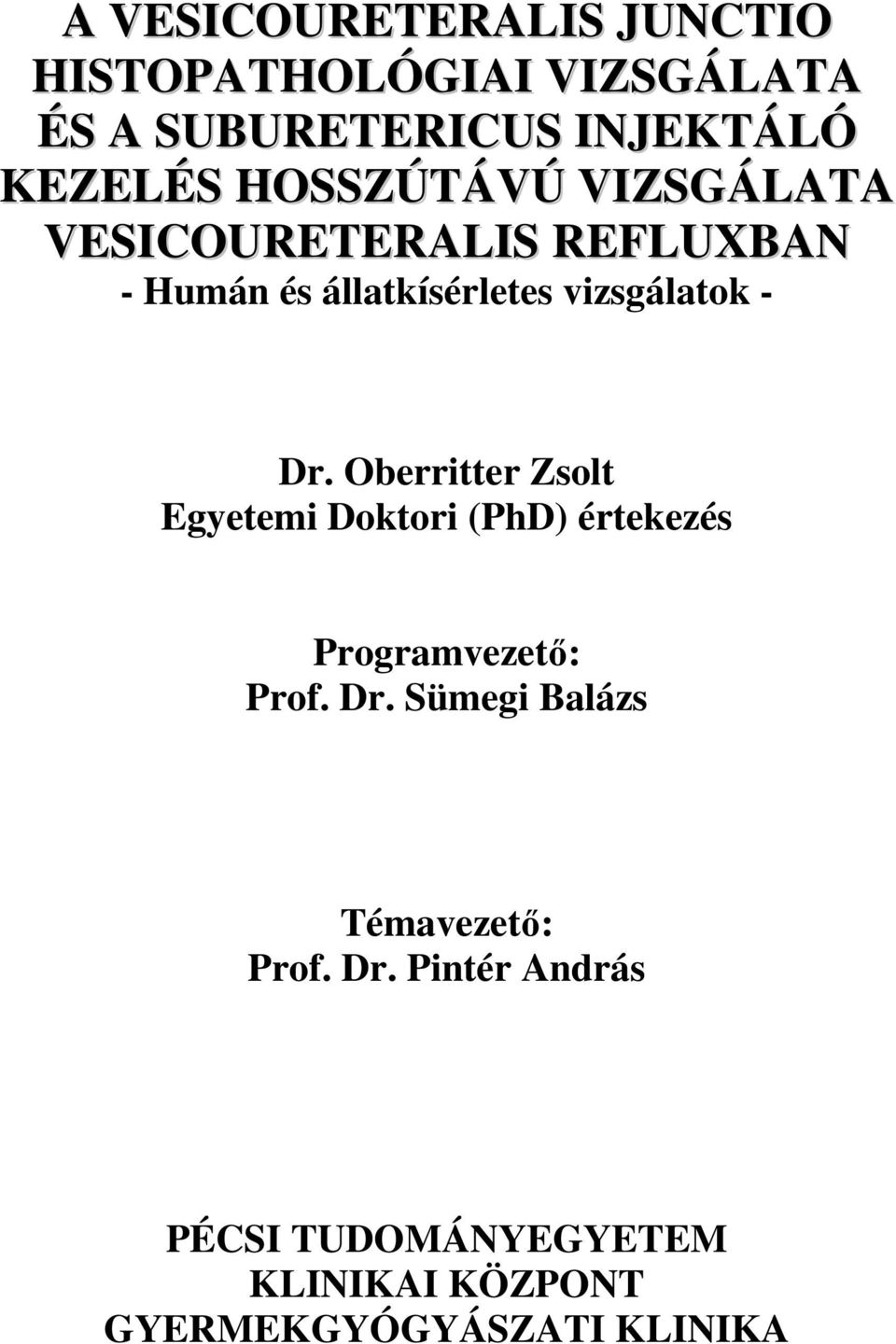 Oberritter Zsolt Egyetemi Doktori (PhD) értekezés Programvezető: Prof. Dr.