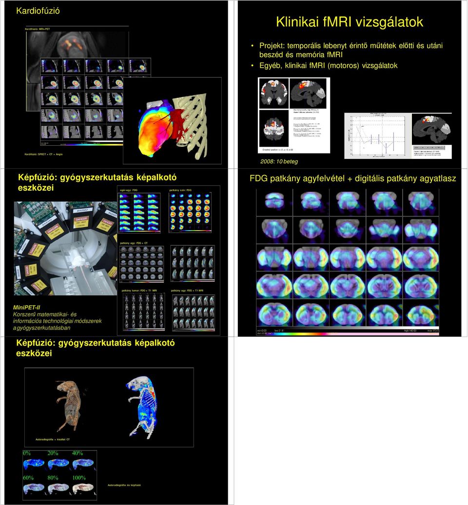 patkány agy: FDG + CT patkány tumor: FDG + T1 MRI patkány agy: FDG + T1 MRI MiniPET-II Korszerő matematikai- és információs technológiai módszerek a