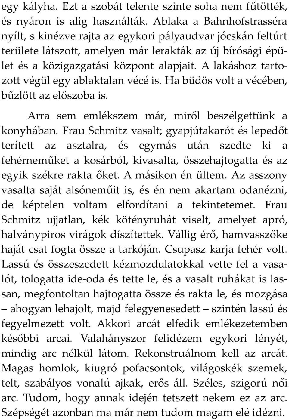 A lakáshoz tartozott végül egy ablaktalan vécé is. Ha büdös volt a vécében, bűzlött az előszoba is. Arra sem emlékszem már, miről beszélgettünk a konyhában.