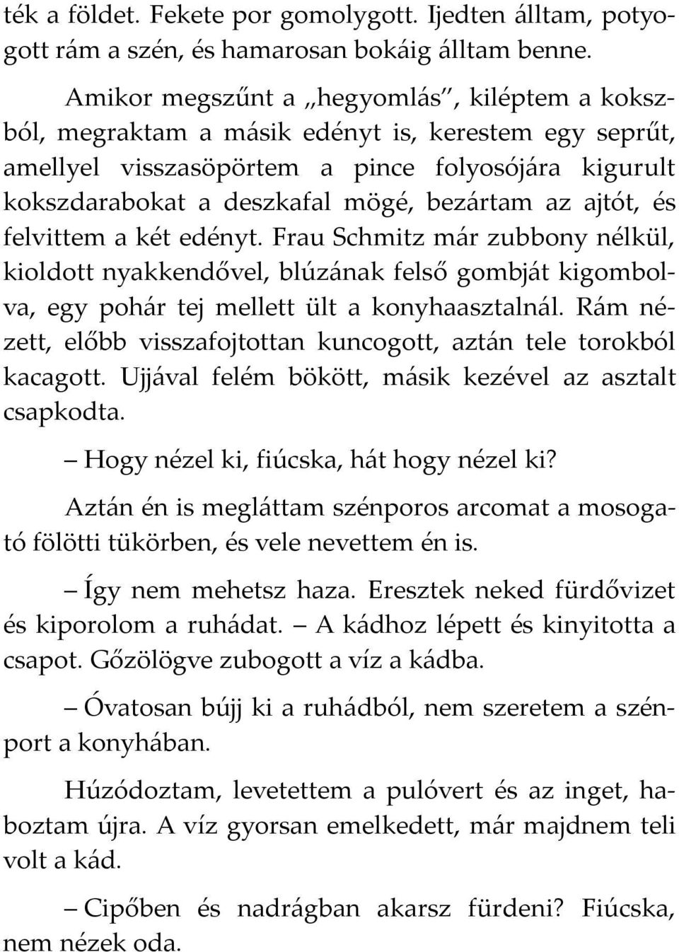 ajtót, és felvittem a két edényt. Frau Schmitz már zubbony nélkül, kioldott nyakkendővel, blúzának felső gombját kigombolva, egy pohár tej mellett ült a konyhaasztalnál.