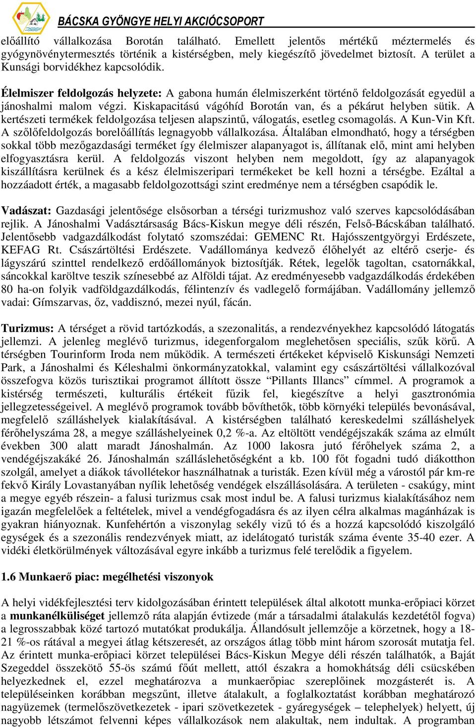 Kiskapacitású vágóhíd Borotán van, és a pékárut helyben sütik. A kertészeti termékek feldolgozása teljesen alapszintő, válogatás, esetleg csomagolás. A Kun-Vin Kft.