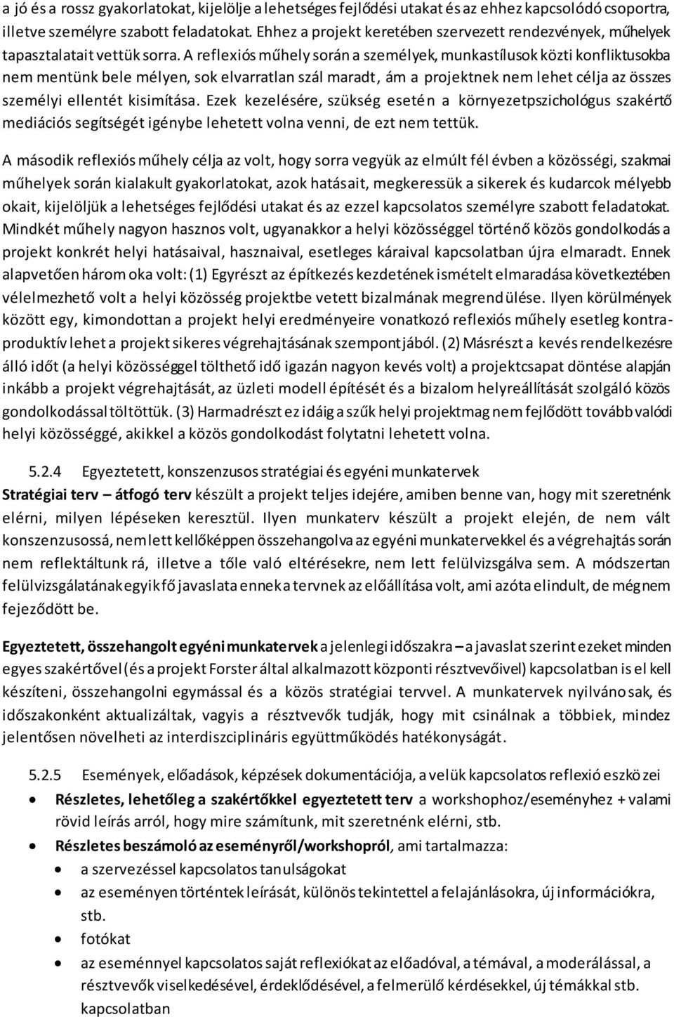 A reflexiós műhely során a személyek, munkastílusok közti konfliktusokba nem mentünk bele mélyen, sok elvarratlan szál maradt, ám a projektnek nem lehet célja az összes személyi ellentét kisimítása.
