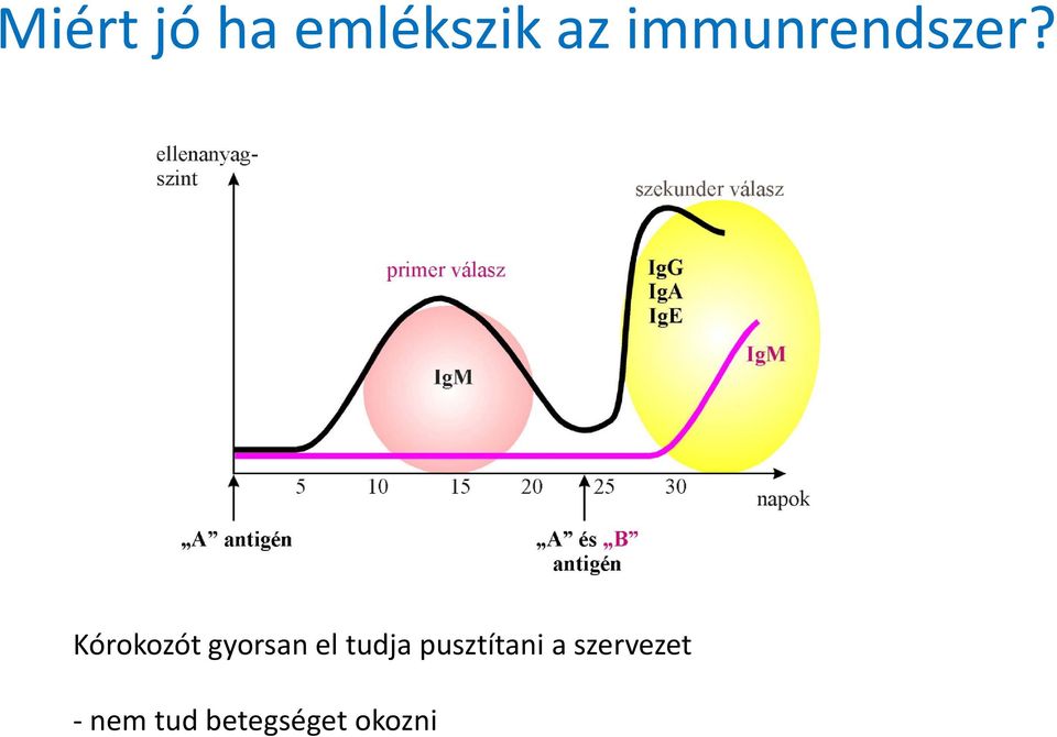 Kórokozót gyorsan el tudja