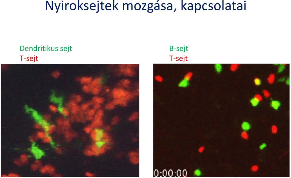 kapcsolatai