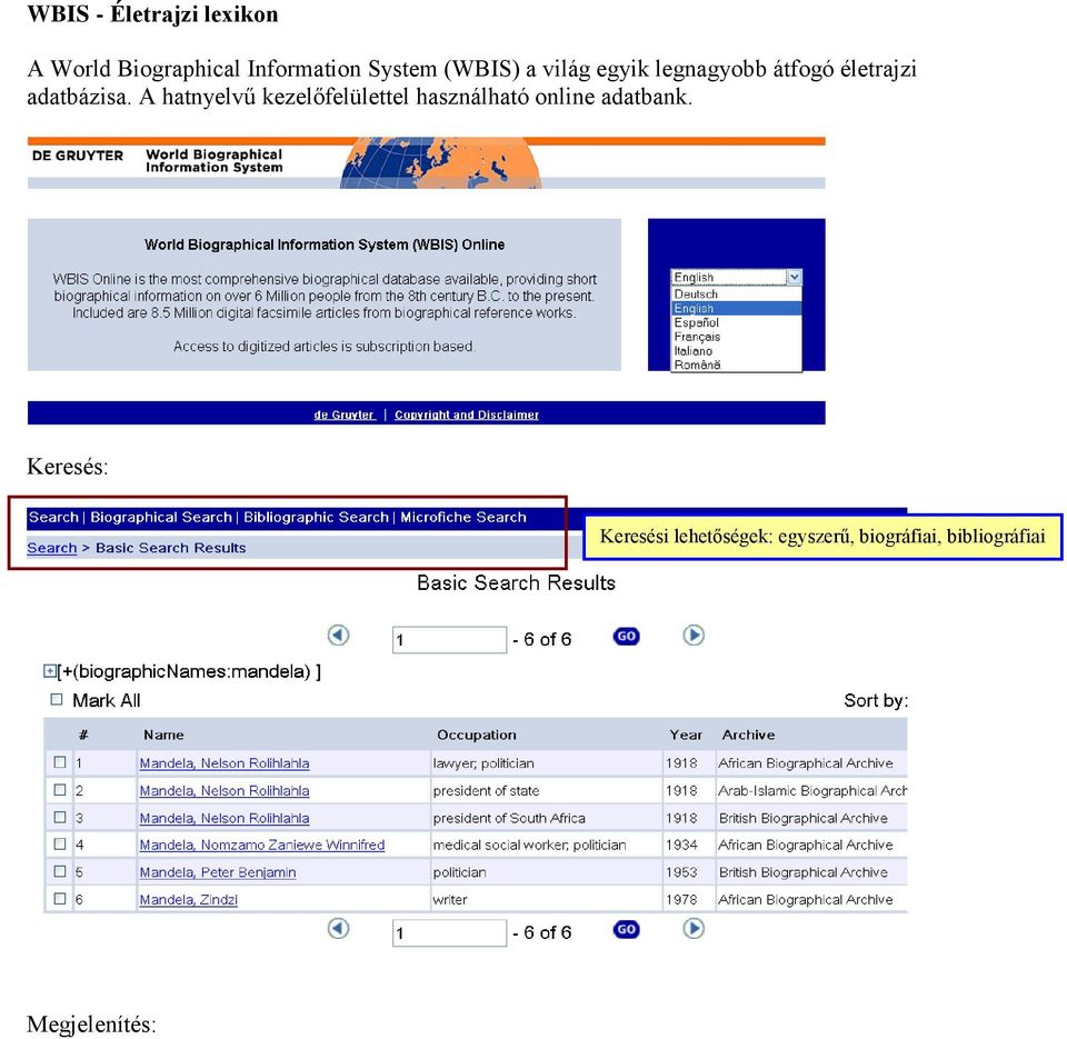A hatnyelvű kezelőfelülettel használható online adatbank.