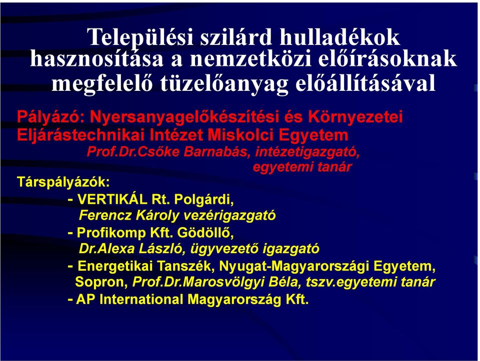 Csőke Barnabás, intézetigazgató, egyetemi tanár Társpályázók: - VERTIKÁL Rt.