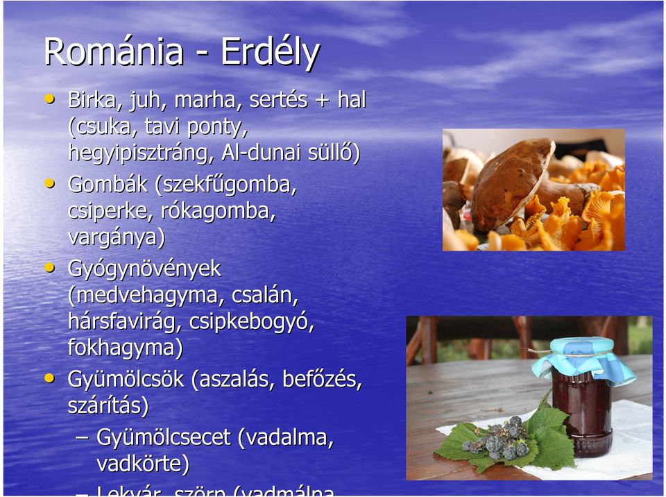 gynövények nyek (medvehagyma, csalán, hársfavirág, csipkebogyó, fokhagyma) Gyümölcs lcsök k