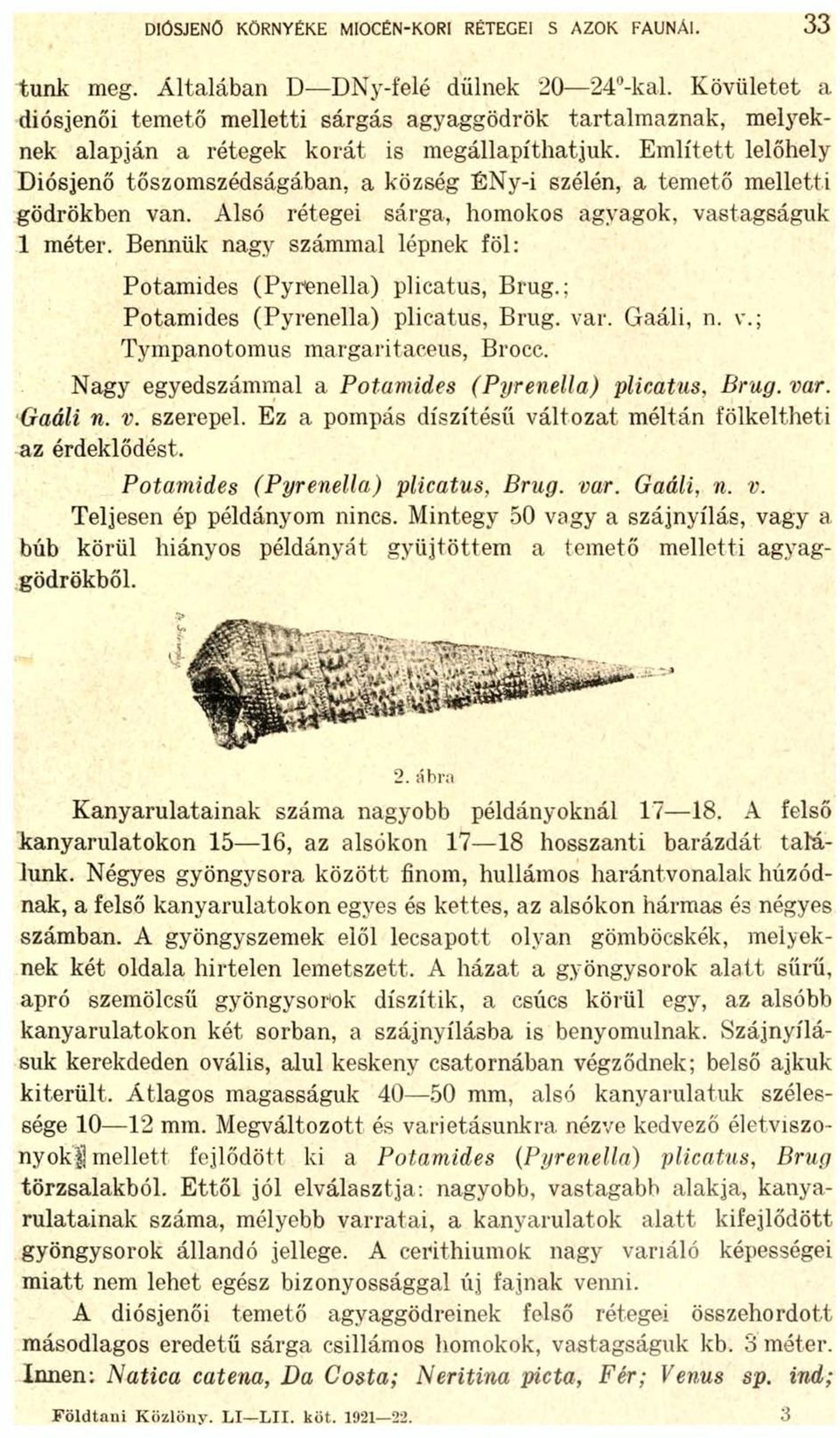 Említett lelőhely Diósjenő tőszomszédságában, a község ÉNy-i szélén, a temető melletti gödrökben van. Alsó rétegei sárga, homokos agyagok, vastagságuk 1 méter.