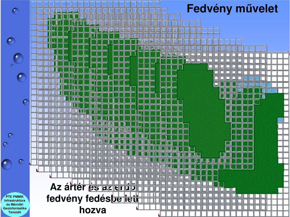 erdő fedvény