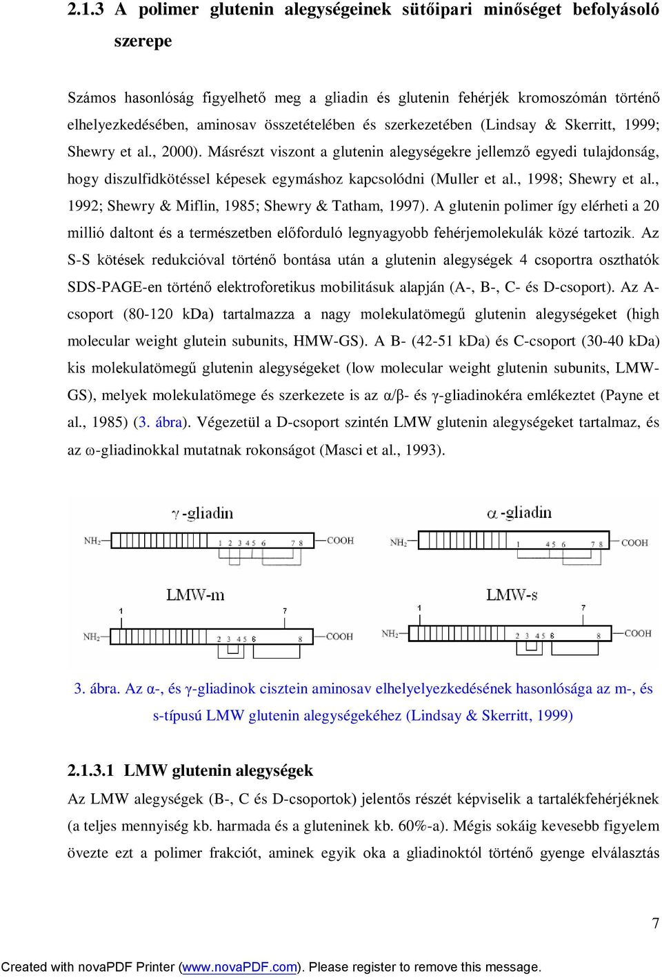Másrészt viszont a glutenin alegységekre jellemző egyedi tulajdonság, hogy diszulfidkötéssel képesek egymáshoz kapcsolódni (Muller et al., 1998; Shewry et al.