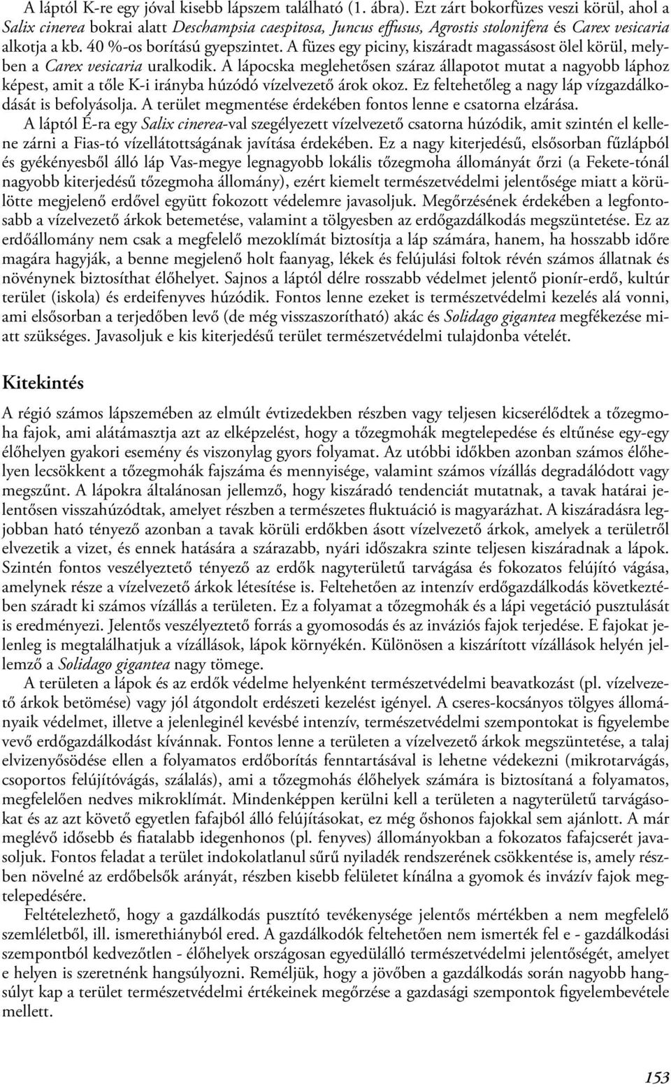 A füzes egy piciny, kiszáradt magassásost ölel körül, melyben a Carex vesicaria uralkodik.