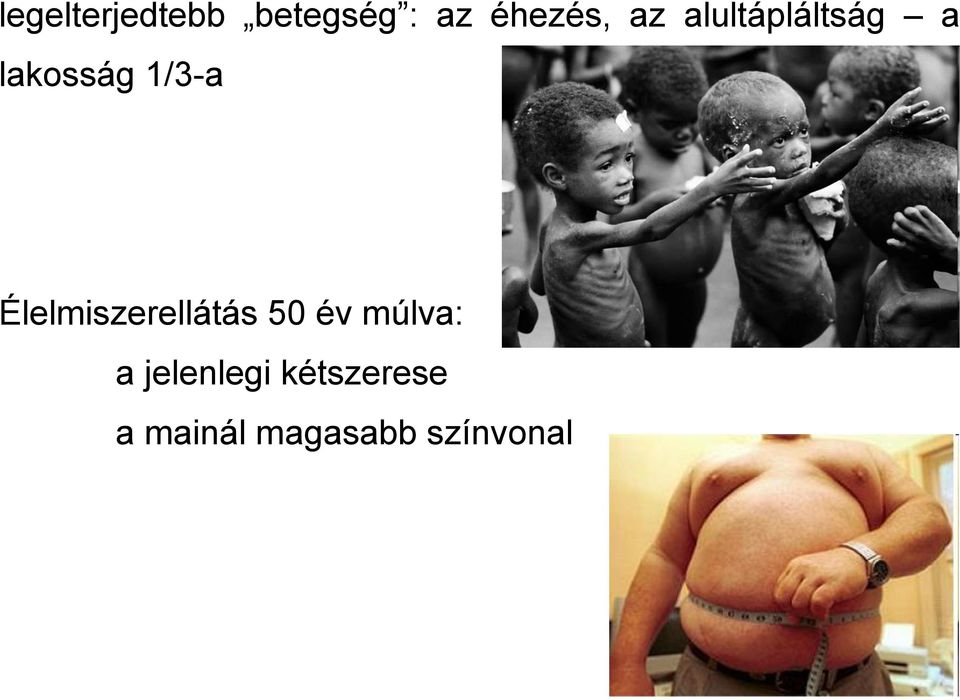 Élelmiszerellátás 50 év múlva: a