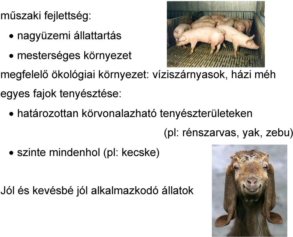tenyésztése: határozottan körvonalazható tenyészterületeken (pl: